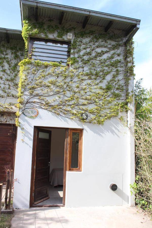 Casita Moderna Frente Al Bosque Apartment Mar del Plata Luaran gambar
